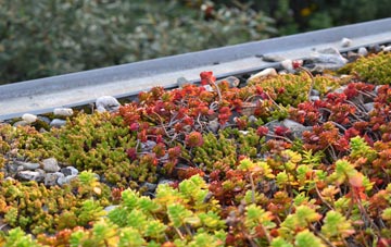 the cost of Himley green roof installation