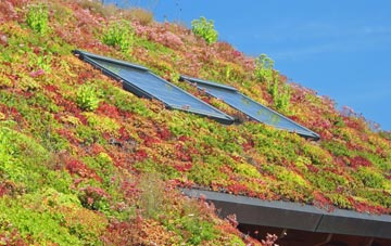 Himley living roof systems