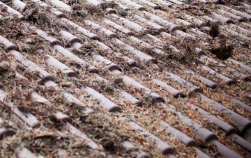 Himley roof cleaning companies